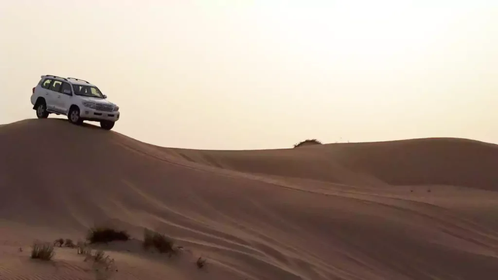 Desert safari Dubai Information