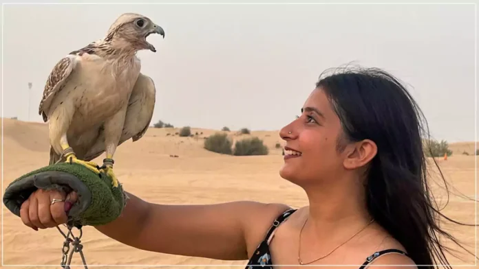 Desert Safari Dubai Information